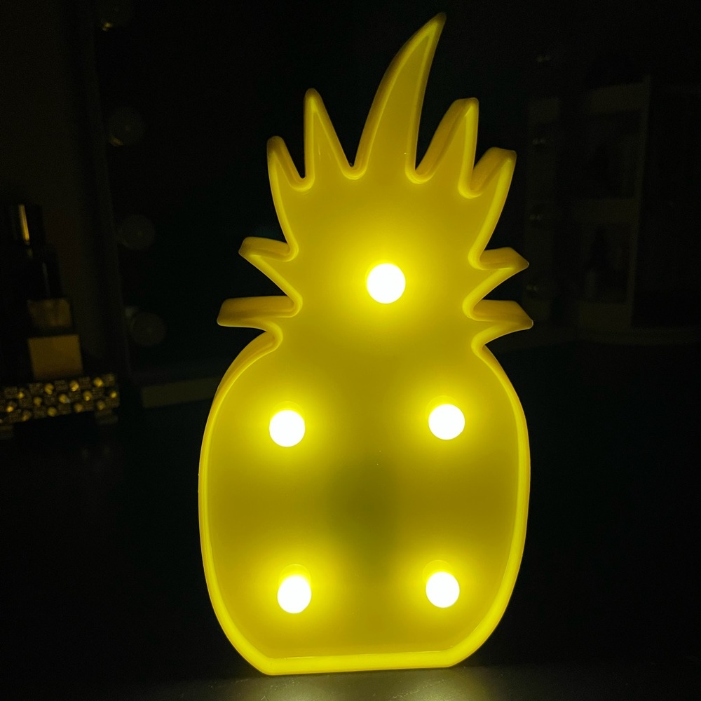 LED Night Light
